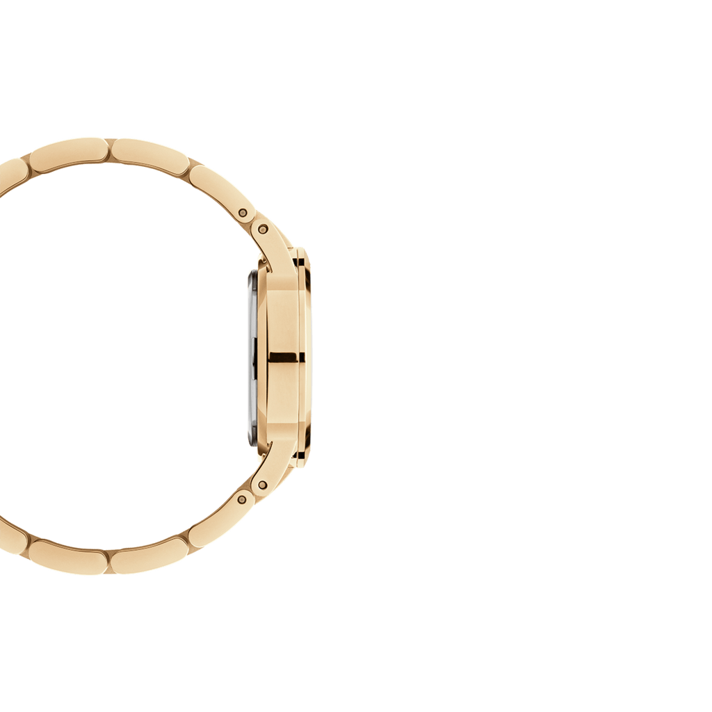 DW Iconic Link Unitone G Watch
