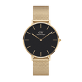 DW Petite Evergold Black Watch